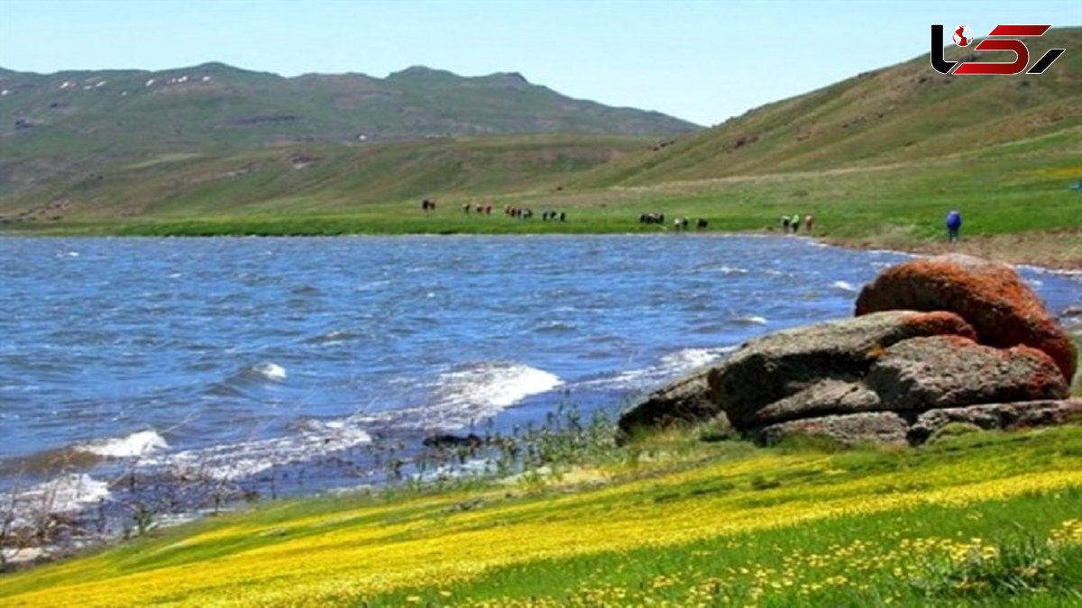 حسینی: رهاسازی ماهی به منظور پرورش در تالاب نئور از اول هم اشتباه بود 