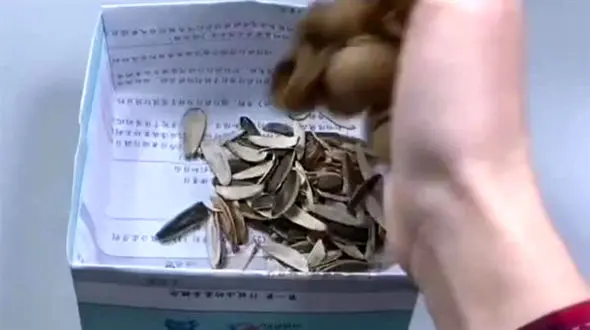 ساخت سطل زباله با کمترین هزینه