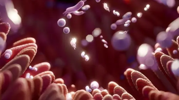 تاثیر میکروبیوم روده بر یک سندرم رایج زنانه