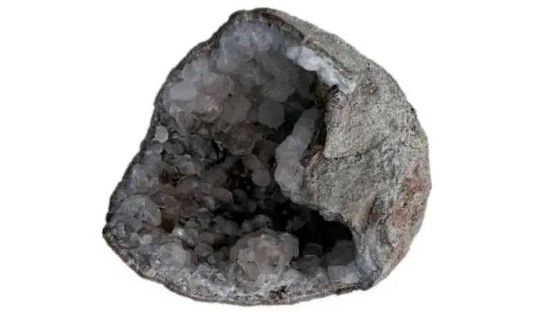 تخم دایناسور