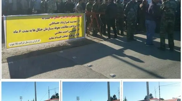 تجمع کارگران شرکت نکاچوب در پی تصمیم رییس سازمان جنگل‌ها