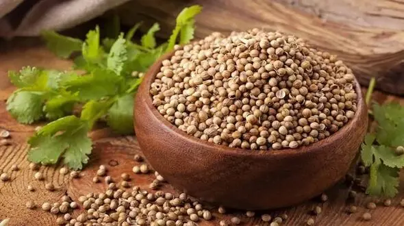 فیلم / تاثیر 3 هفته مصرف تخم گشنیز روی بدن + طرز مصرف
