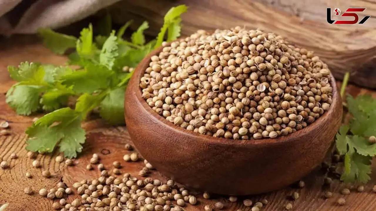 فیلم / تاثیر 3 هفته مصرف تخم گشنیز روی بدن + طرز مصرف