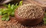 فیلم / تاثیر 3 هفته مصرف تخم گشنیز روی بدن + طرز مصرف
