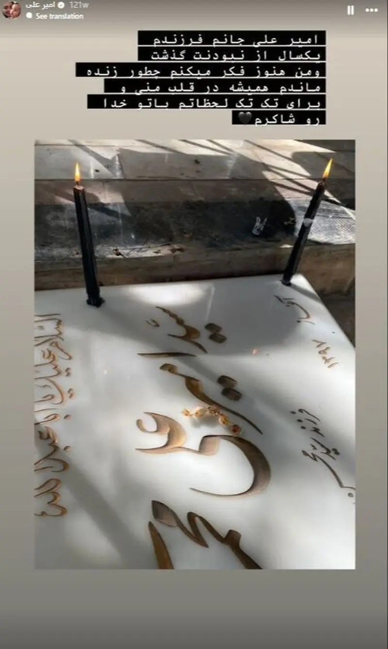 برادرزاده نرگس محمدی