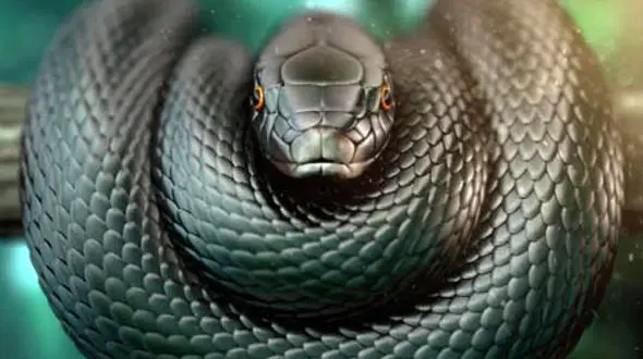 شوهرم مچ مرا با جمشید در خانه گرفت / سولماز دوست صمیمی ام با شوهرم بود !