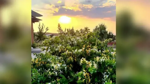 فال ابجد امروز / 2 تیر ماه + فیلم 