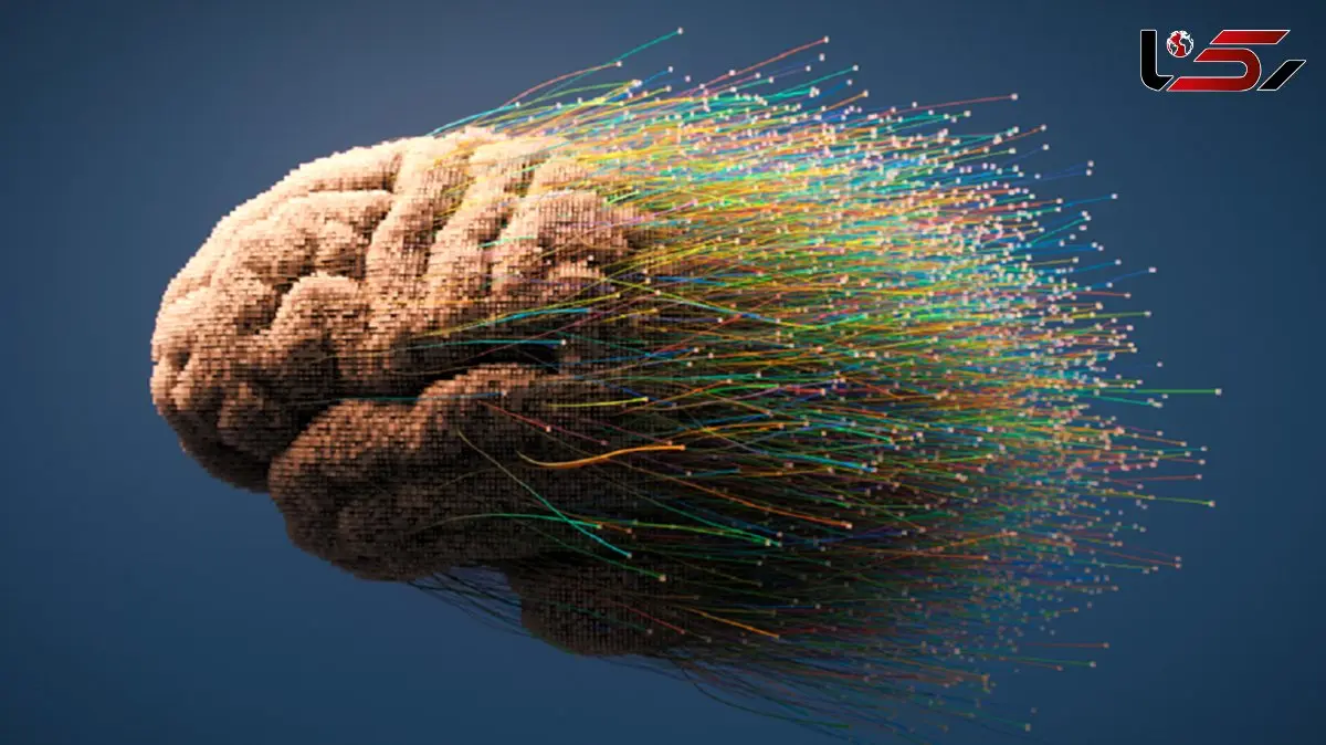 زوال عقل در کمین این افراد است؛ آیا شما هم جزوشان هستید؟