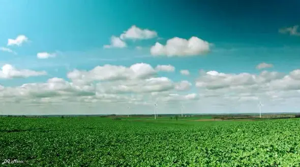 نماهنگ بی کلام آرامش بخش از نیکولاس گلد + فیلم 