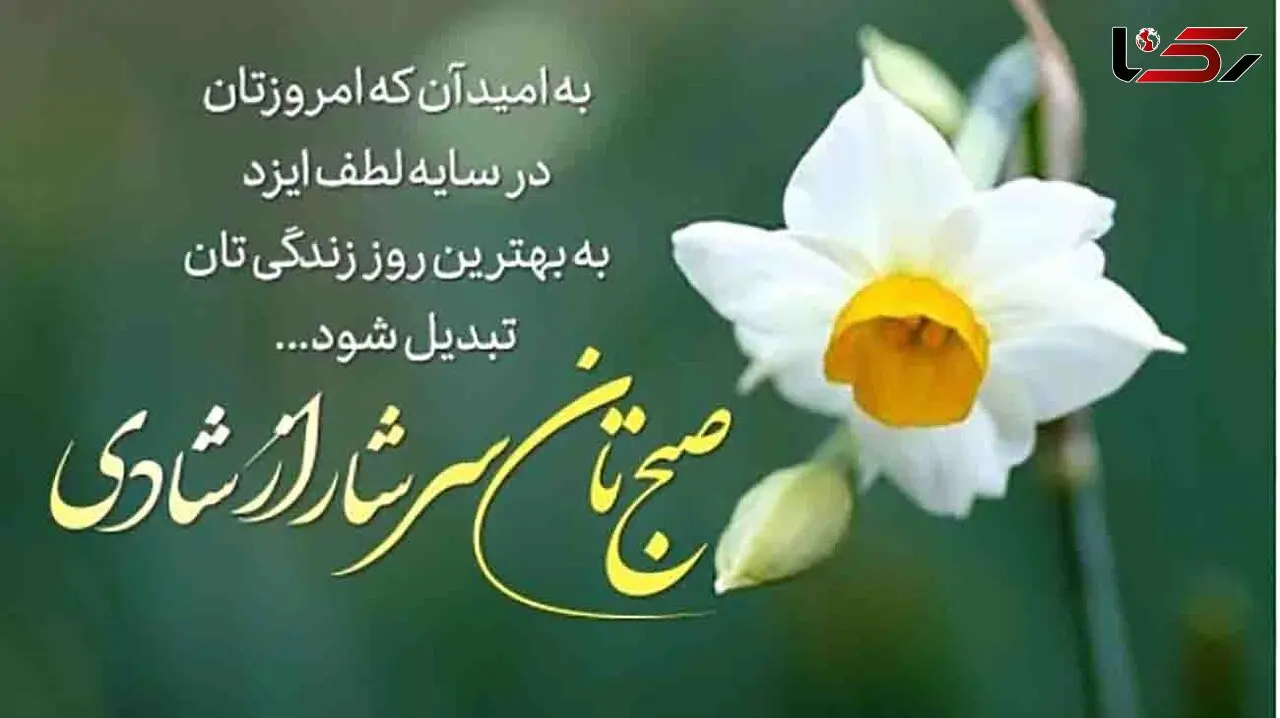 فال روزانه شخصی / 4 دی ماه + فیلم