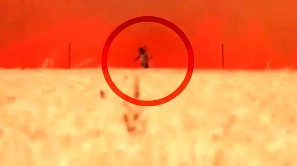 فیلم لحظه فرار دلهره آور مرد جوان از محاصره آتش هولناک