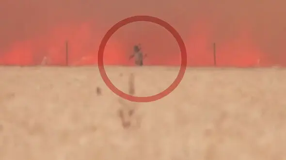 فیلم لحظه فرار دلهره آور مرد جوان از محاصره آتش هولناک