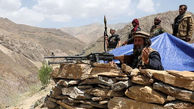 طالبان در کمتر از یک روز بر ۴ شهرستان مسلط شد