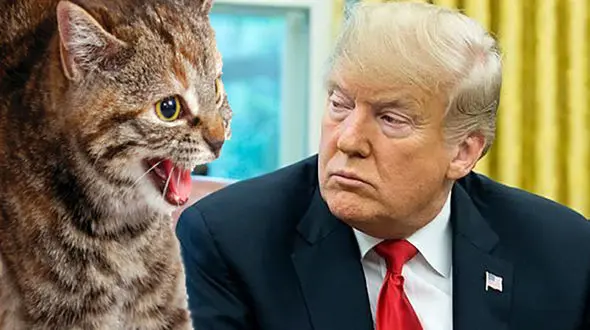 دردسر جدید ترامپ/ موشگیر اعظم انگلیس ترامپ را به دردسر انداخت+ عکس