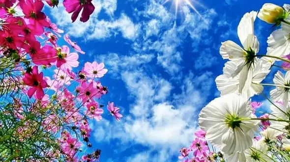 فال روزانه 22 مرداد ماه