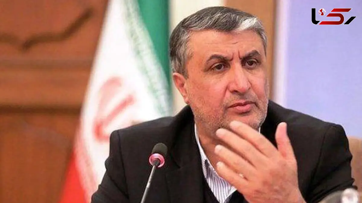 رئیس سازمان انرژی اتمی: یک "گاوداری" را سایت هسته‌ ای اعلام می‌ کنند!