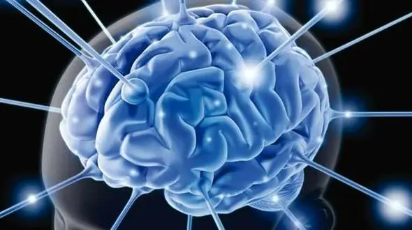 مرگ مغزی پایان زندگی نیست!