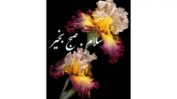 فال ابجد با تفسیر دقیق در 26 آبان + فیلم