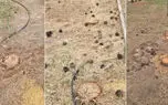 دو وزارتخانه و سازمان منابع طبیعی باید در مورد قطع درختان هیرکانی پاسخ بدهند/ گره کار با تلفیق منابع طبیعی و محیط زیست هم باز نمی شود