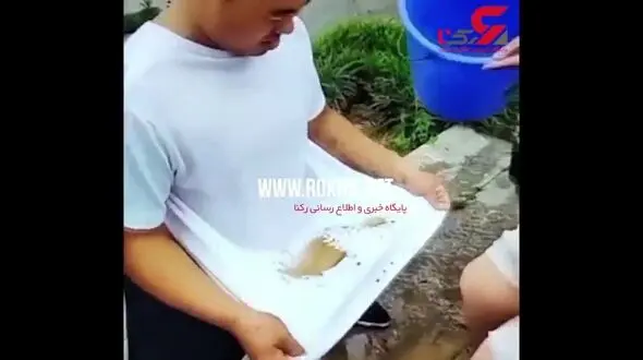 پیراهن هایی که کثیف نمی شوند!+فیلم