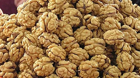 به این 4 دلیل گردو بخورید 