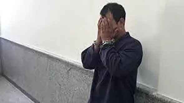 تماس شهروند با ۱۱۰ به کمک پلیس در دستگیری سارق آمد 