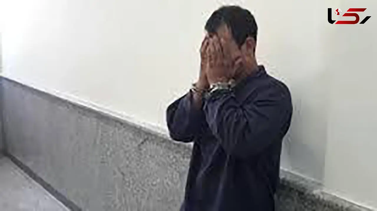 تماس شهروند با ۱۱۰ به کمک پلیس در دستگیری سارق آمد 