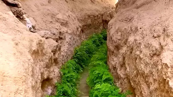 فیلم قنات نوآبان / منبع آب سرو کهنسال