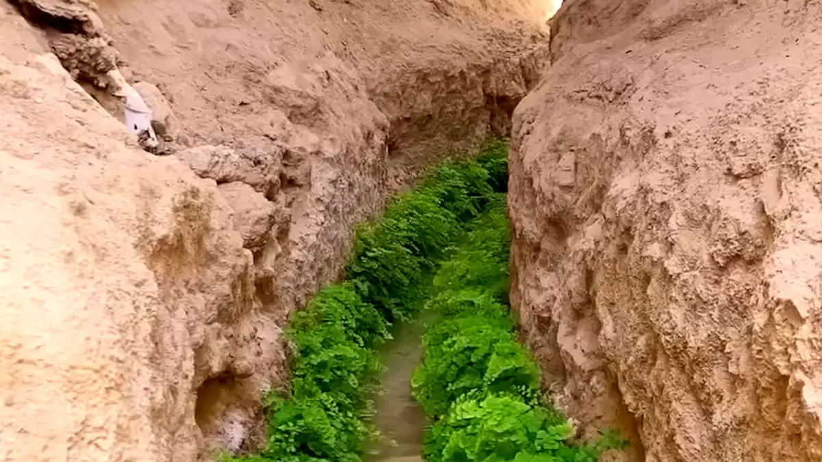 فیلم قنات نوآبان / منبع آب سرو کهنسال