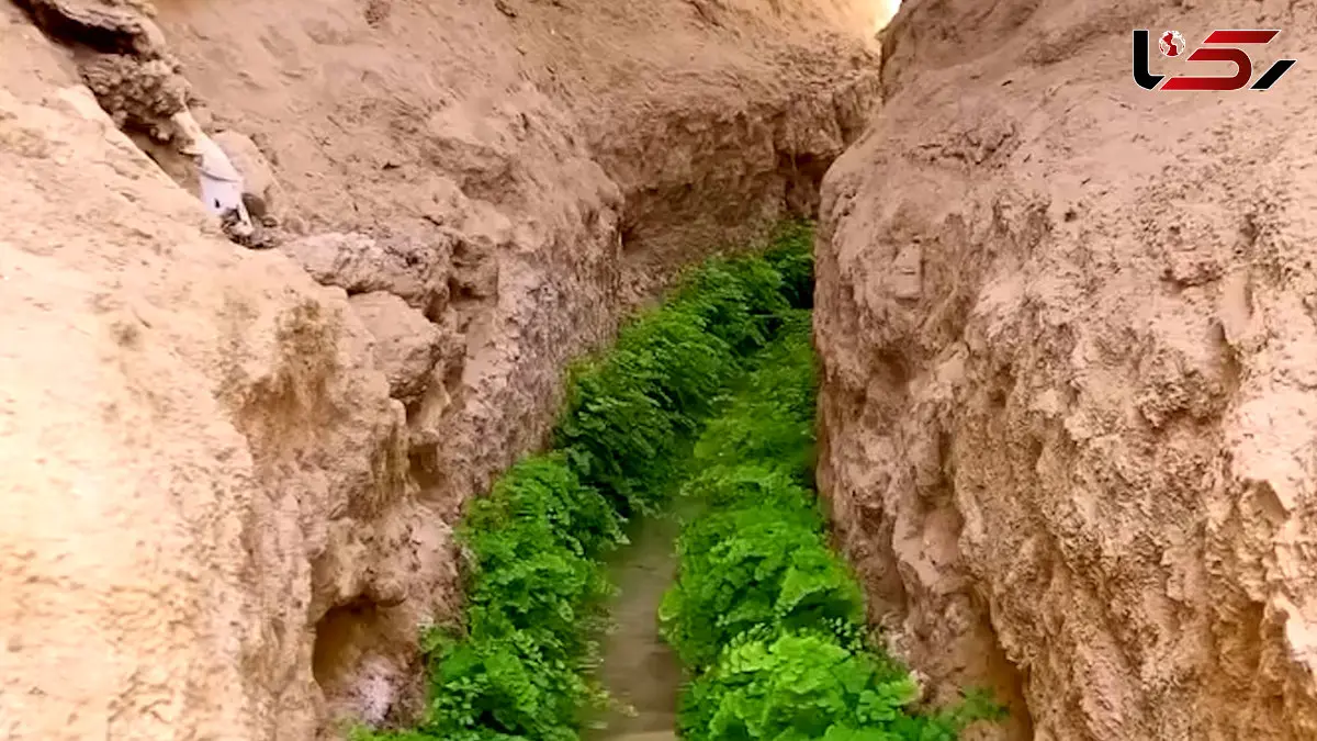 فیلم قنات نوآبان / منبع آب سرو کهنسال