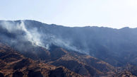 کوه برچک دشتستان آتش گرفت