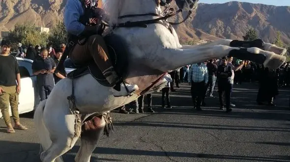 مهدیشهر، شهر جشنواره های رنگی