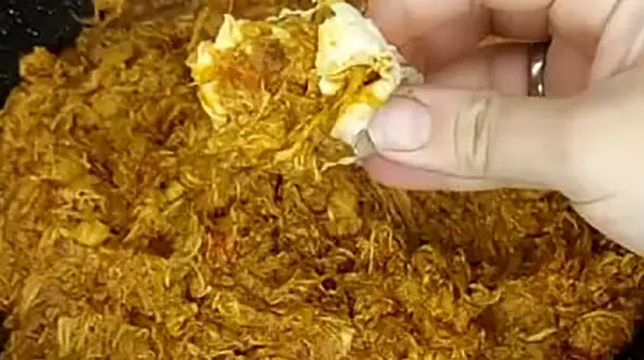 طرز تهیه غذای جنوبی خوشمزه با کدو و بادمجان + فیلم