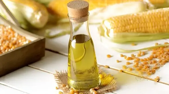 راز یک گیاه پرطرفدار برای دفع سنگ کلیه؛ ادعاها چقدر درست است؟