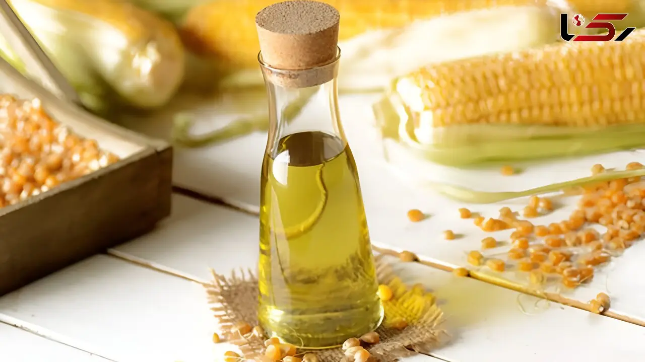 راز یک گیاه پرطرفدار برای دفع سنگ کلیه؛ ادعاها چقدر درست است؟