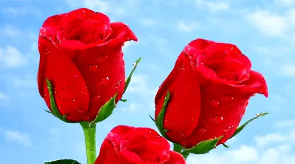 فال ابجد امروز 7 اردیبهشت 1405