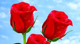 فال ابجد امروز 7 اردیبهشت 1405