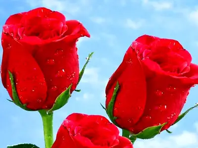 فال ابجد امروز 7 اردیبهشت 1405