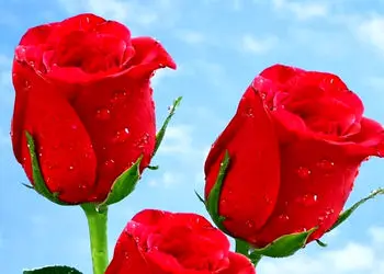 فال ابجد امروز 7 اردیبهشت 1405