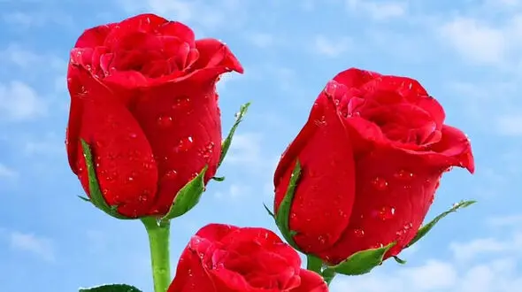فال ابجد امروز 7 اردیبهشت 1405