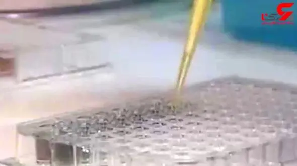 رسوایی بزرگ / این خمیردندان کشنده است! + فیلم 