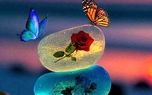 فال ابجد واقعی 15 دی + فیلم