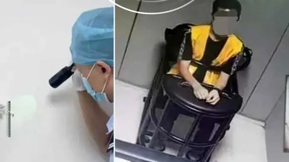 پشه ها راز سرقت را برملا کردند+ عکس / در چین رخ داد