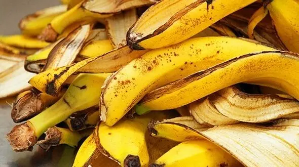 تسکین سردرد با پوست این میوه پر خاصیت