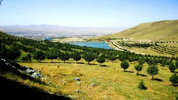 کاهش 3.7 میلیون هکتاری مساحت جنگل های ایران در 60 سال / ترمیم 9 هزار هکتار از جنگل ها در 3 سال گذشته 