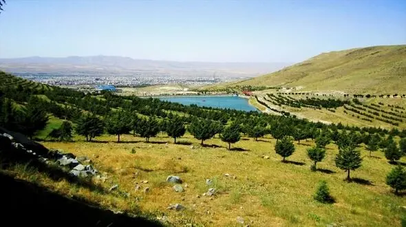 کاهش 3.7 میلیون هکتاری مساحت جنگل های ایران در 60 سال / ترمیم 9 هزار هکتار از جنگل ها در 3 سال گذشته 
