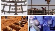 برترین عکس های هفته از نگاه رویترز 