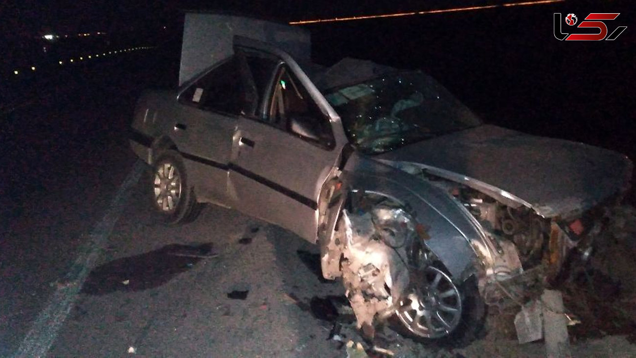 سگ ولگرد جان راننده خودرو را در بوشهر گرفت + عکس