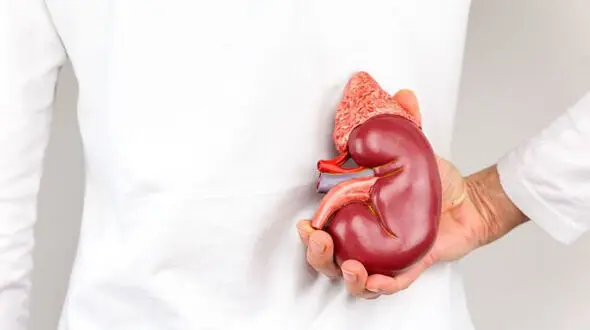 آیا داروی "متیل دوپا" به کلیه آسیب می‌رساند؟