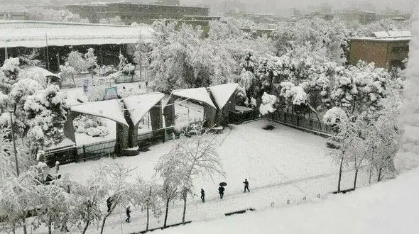 وضعیت برگزاری امتحانات دانشگاه‌ها فردا 26 دی چگونه است؟